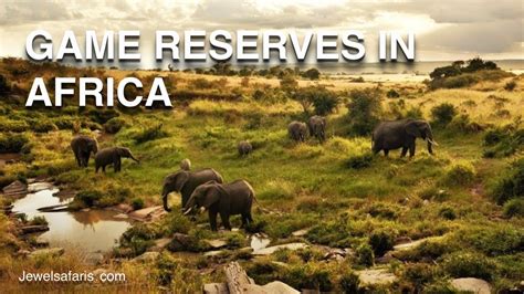 Reserves | De Hoop Nature Reserve - raincitystudios.com