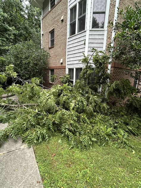 Resilience in the age of devastating storms - wintechmobiles.com