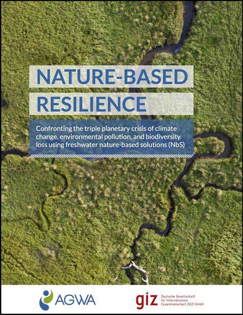 Resilience of Small Islands: Unveiling Nature-Based ... - Springer - raincitystudios.com