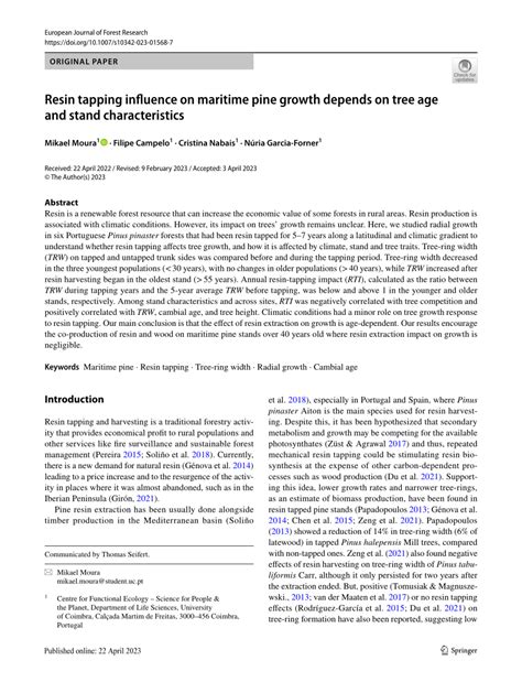 Resin tapping potential of Atlantic maritime pine forests depends on ... - raincitystudios.com