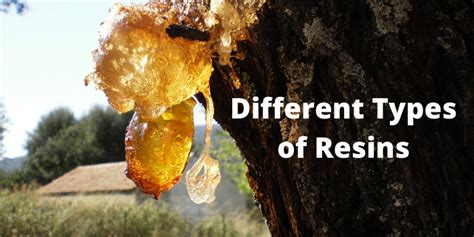 Resins - US Forest Service - raincitystudios.com