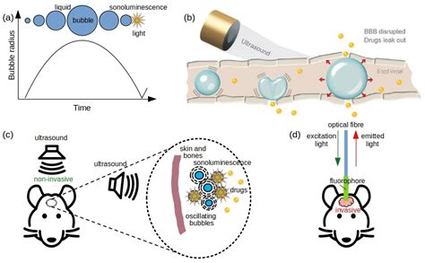 Resource Paper: Sonoluminescence - AIP Publishing - wintechmobiles.com