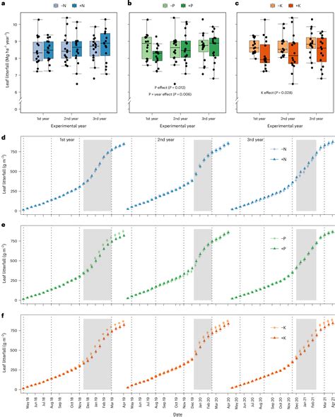 Response of tropical forest productivity to seasonal drought mediated ... - raincitystudios.com