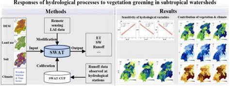 Responses of hydrological processes to vegetation greening and … - raincitystudios.com