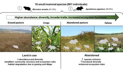 Responses of small mammal communities to environment and … - raincitystudios.com