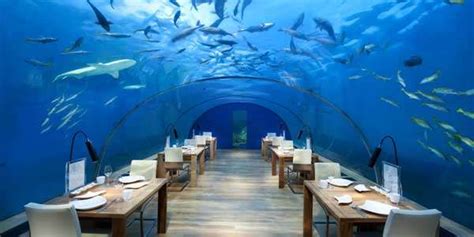 Restoran Bawah Laut Terbesar Dibangun di Maladewa - raincitystudios.com