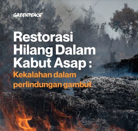 Restorasi Hilang Dalam Kabut Asap - Greenpeace - coolestguyplanet.net
