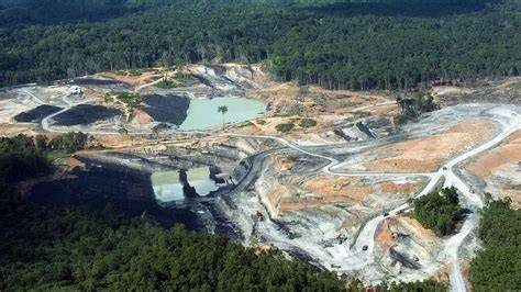Restorasi Hutan dan Bekas Tambang Perlu … - raincitystudios.com