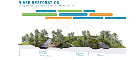 Restoration and Land Management - Tallgrass Prairie … - raincitystudios.com