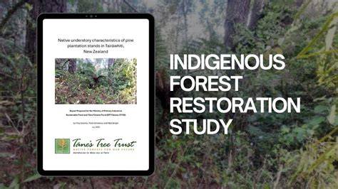 Restoration and management of an Indigenous … - raincitystudios.com
