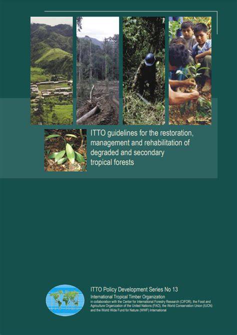 Restoration and Management of Degraded Tropical … - raincitystudios.com