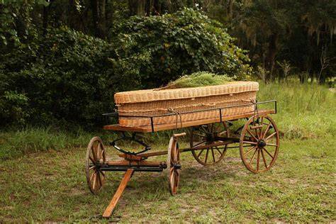 RESTORATION AND MANAGEMENT OF RARE OR DECLINING … - raincitystudios.com