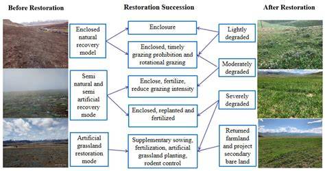 Restoration approach for alpine extremely degraded landscapes: … - raincitystudios.com