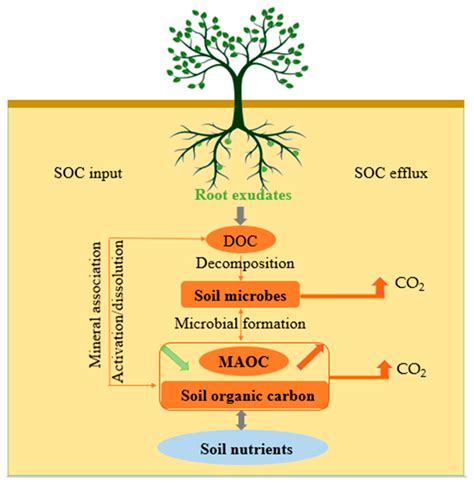 Restoration depth mediates seasonal recalcitrant carbon retention ... - muktibox.com
