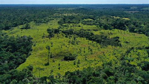 Restoration of Degraded Tropical Forest Landscapes - raincitystudios.com