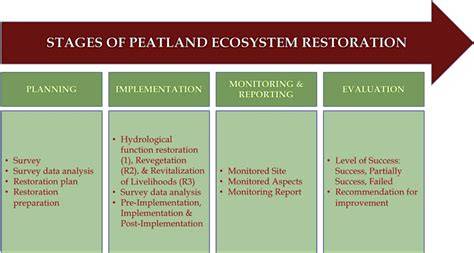 Restoration of Peatland Ecosystem: Peatland Hydrological … - raincitystudios.com