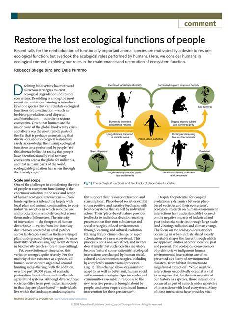 Restore the lost ecological functions of people - Nature - raincitystudios.com