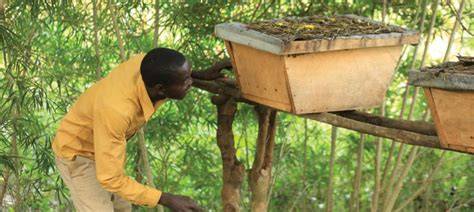 Restoring and Conserving Degraded Fragile Ecosystems for Improved ... - raincitystudios.com
