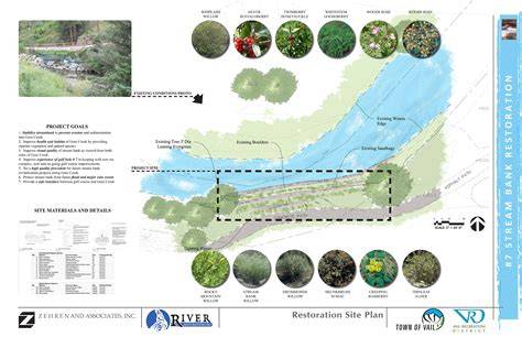 Restoring and Enhancing Streambanks with Native … - raincitystudios.com
