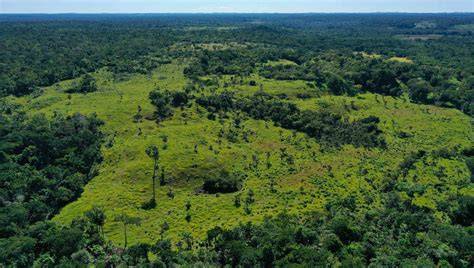 Restoring Degraded Forest Landscapes: India's Sustainable Forest ... - raincitystudios.com