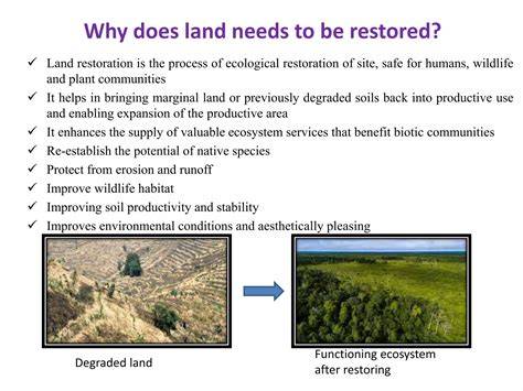 Restoring Degraded Lands - Annual Reviews - raincitystudios.com