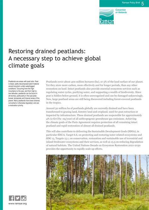Restoring drained peatlands: A necessary step to achieve ... - Ramsar - muktibox.com