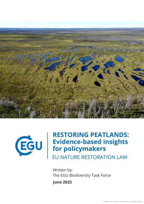 Restoring peatlands: Evidence-based insights for … - raincitystudios.com