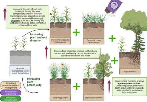 Restoring Soil Biology for a Sustainable Future - wintechmobiles.com