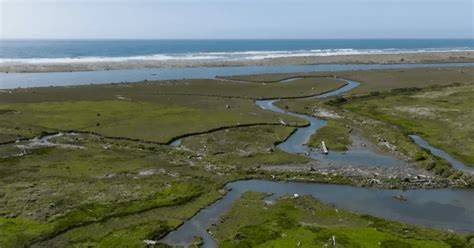 Restoring the Eel River Estuary: A Landmark restoration Project - raincitystudios.com