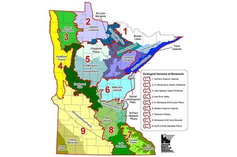 Restoring Your Annual- Dominated Field to Utility Prairie - raincitystudios.com
