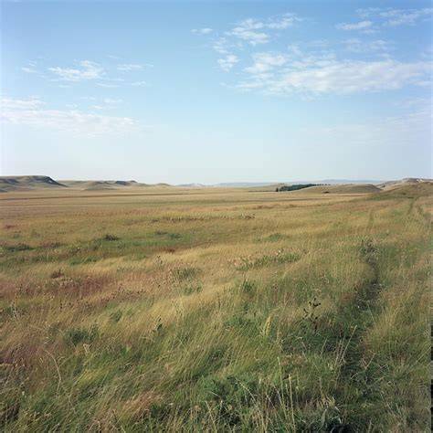 Restoring Your Degraded Grassland to Conservation Prairie - raincitystudios.com