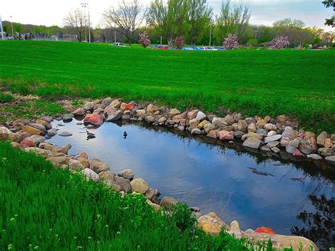 Retention Pond Maintenance - AQUALIS - coolestguyplanet.net