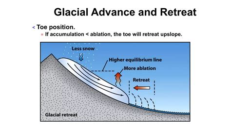 Rethinking glacial retreat and postglacial expansion of the Neotropical ... - muktibox.com