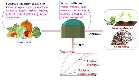 Review in anaerobic digestion of food waste - ScienceDirect - raincitystudios.com