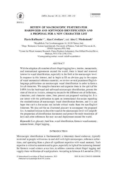 Review of Macroscopic Features for Hardwood and Softwood Identification ... - raincitystudios.com
