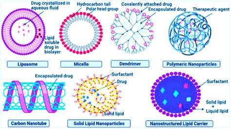 Review of the efficacy of nanoparticle-based drug delivery systems for ... - wintechmobiles.com