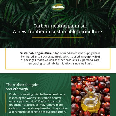 Review on Carbon Footprint of the Palm Oil Industry: Insights into ... - wintechmobiles.com