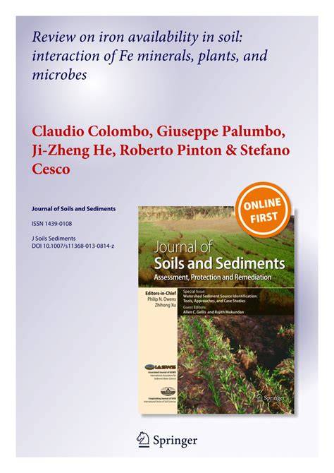 Review on iron availability in soil: interaction of Fe ... - Springer - raincitystudios.com