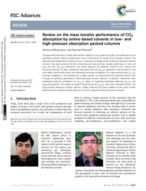 Review on the mass transfer performance of CO2 absorption by amine ... - raincitystudios.com