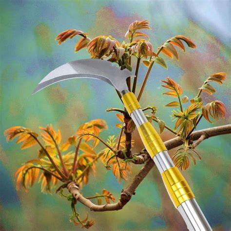 Revolutionary High-Altitude Picker for Toona Sinensis ... - raincitystudios.com