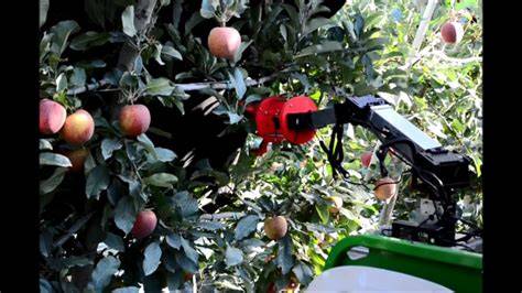 Revolutionary Tech Transforms Apple Harvesting with Automated … - raincitystudios.com