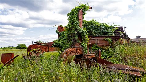 Rewilding abandoned farmland has greater sustainability benefits than ... - raincitystudios.com