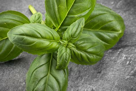 REYHAN & EMIR NE OLURSUN DINLE || YEMIN SERIAL.