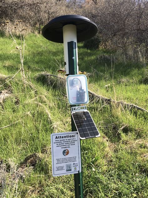 RFID Rushing Avian Ecology Lab