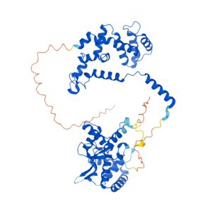 RGS7 Gene - GeneCards RGS7 Protein RGS7 Antibody