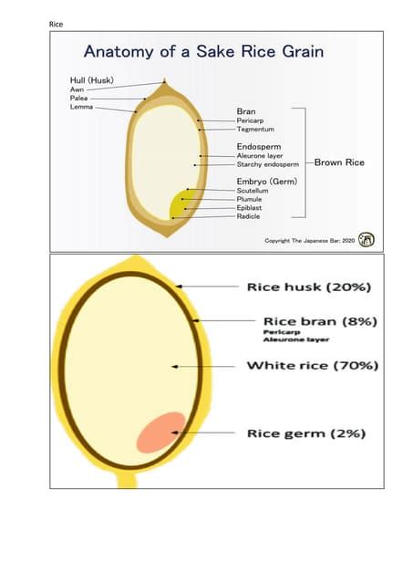 RHCE PDF Demo