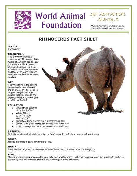 Rhinoceros Fact Sheet | Blog | Nature | PBS - muktibox.com