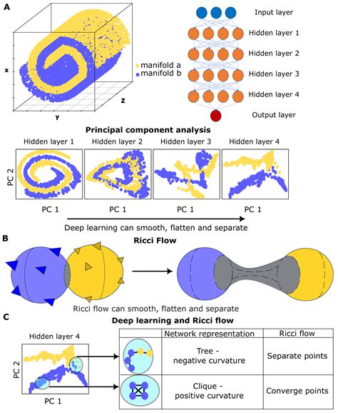Ricci flow - Wikiwand - wintechmobiles.com