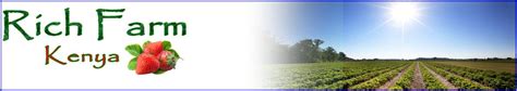Rich Farm Kenya: Profitable Agribusiness Ideas in Fruit Farming ... - raincitystudios.com