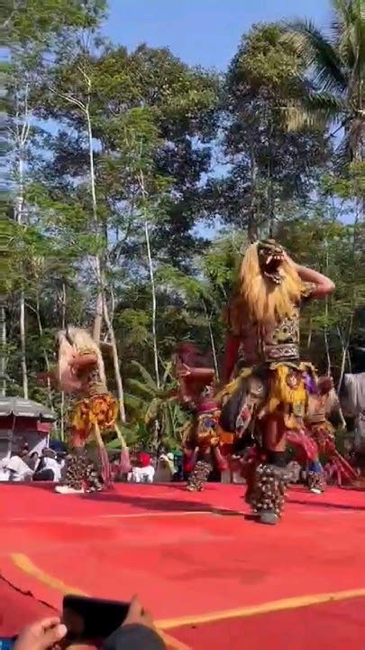 RIMBA LIVE pakaian tipis & sentuhan lembut rencana efektif Porn0 sortir terbaru penasaran image 1